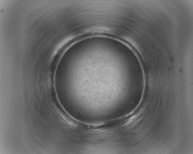 X0000063481115200601231340