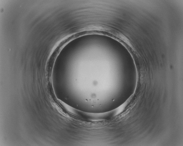 X0000063481116200601231340