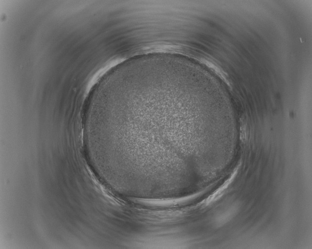 X0000063481117200601231340