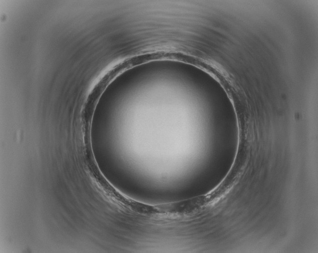 X0000063481118200601231340