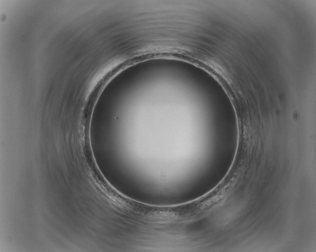 X0000063481119200601231340