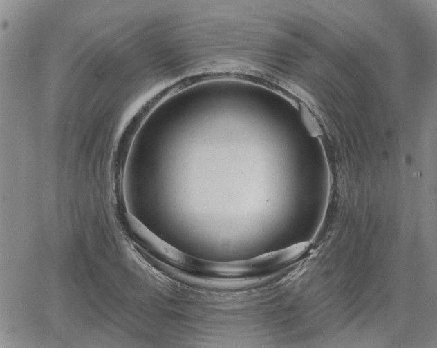 X0000063481120200601231340