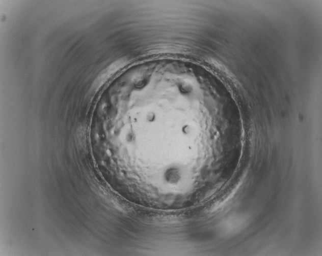 X0000063481121200601231340