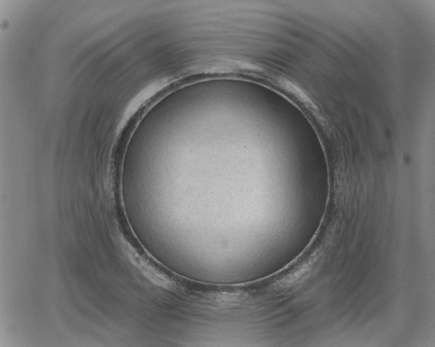 X0000063481122200601231340