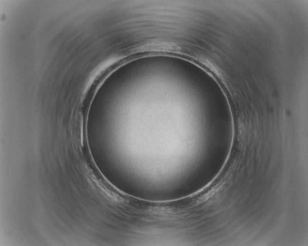 X0000063481123200601231340