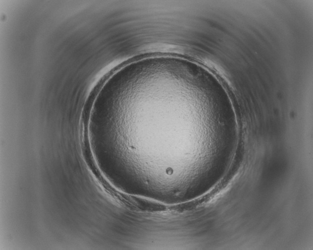 X0000063481125200601231340