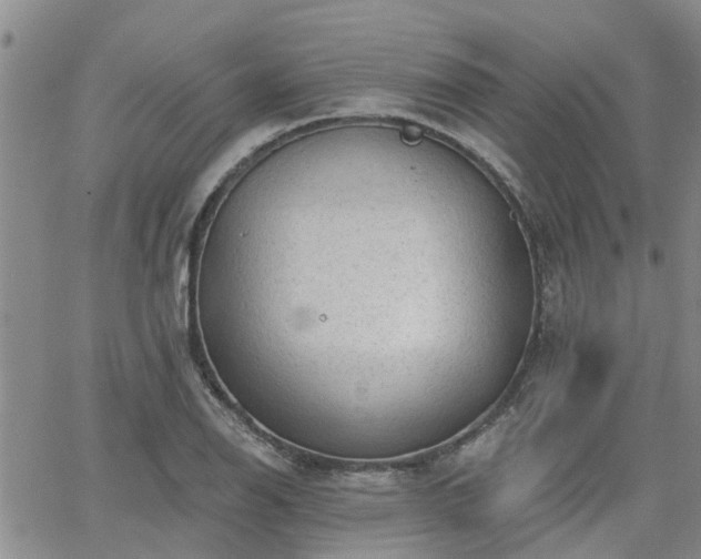 X0000063481126200601231340