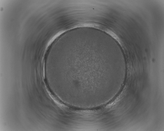 X0000063481127200601231340