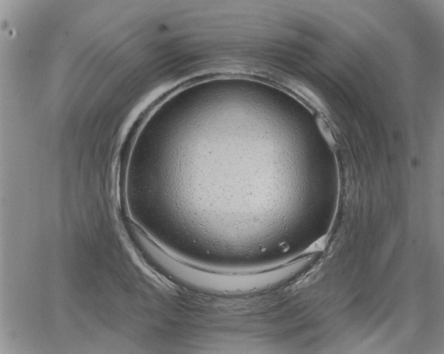 X0000063481128200601231340