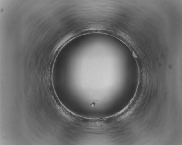 X0000063481129200601231340