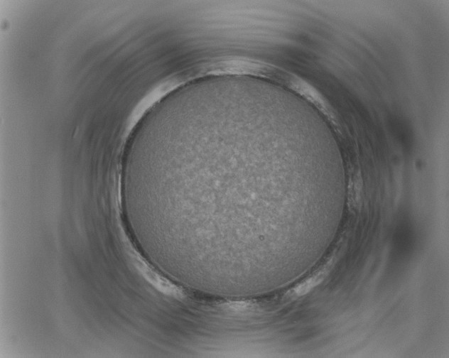 X0000063481130200601231340