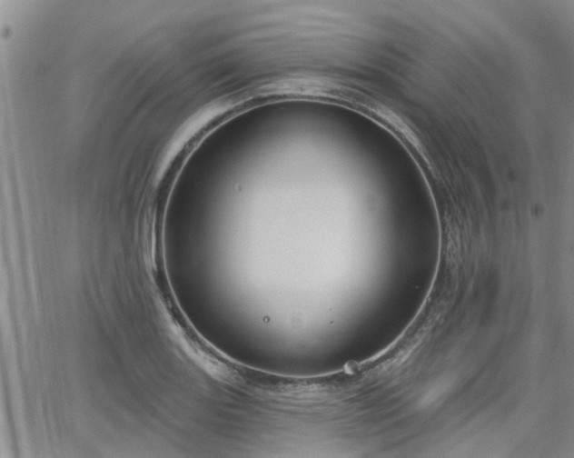 X0000063481131200601231340