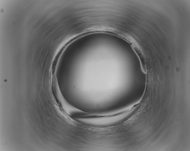 X0000063481132200601231340