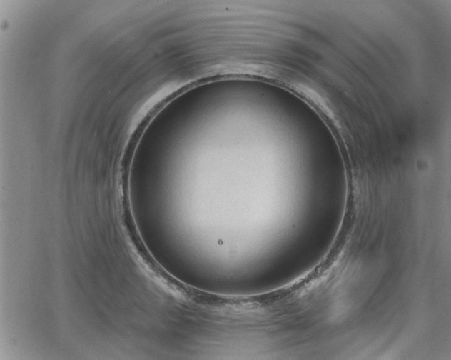 X0000063481133200601231340