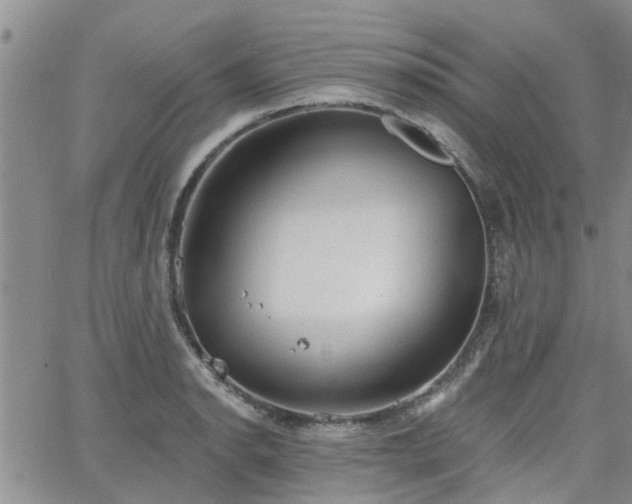 X0000063481134200601231340