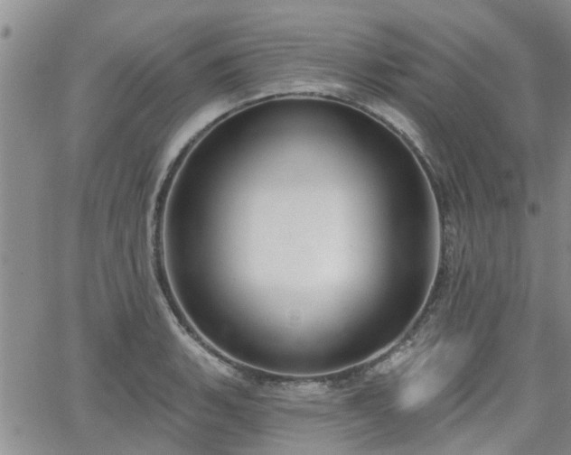 X0000063481135200601231340