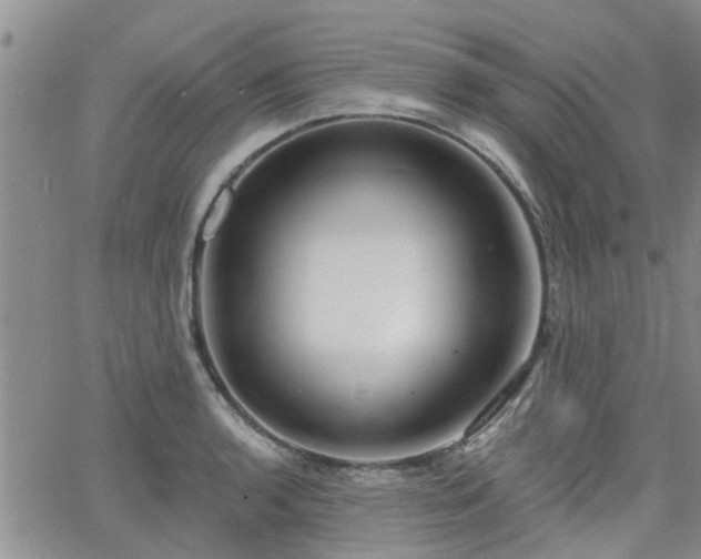 X0000063481136200601231340