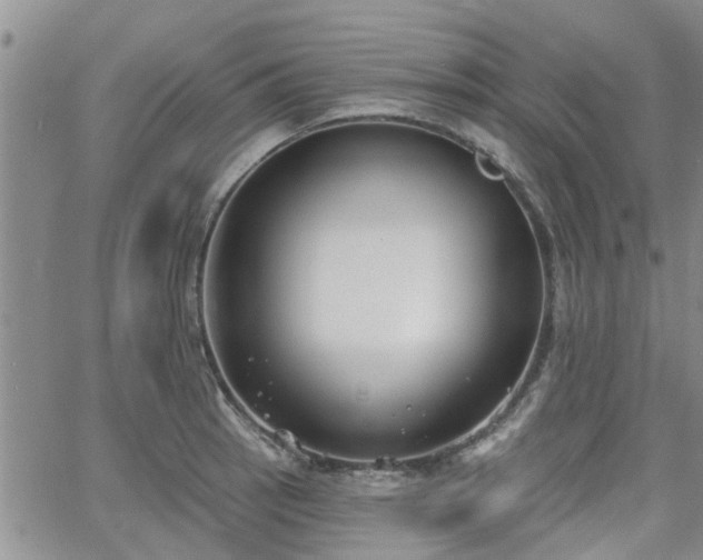 X0000063481137200601231340