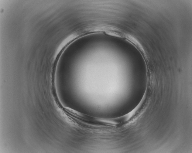 X0000063481138200601231340