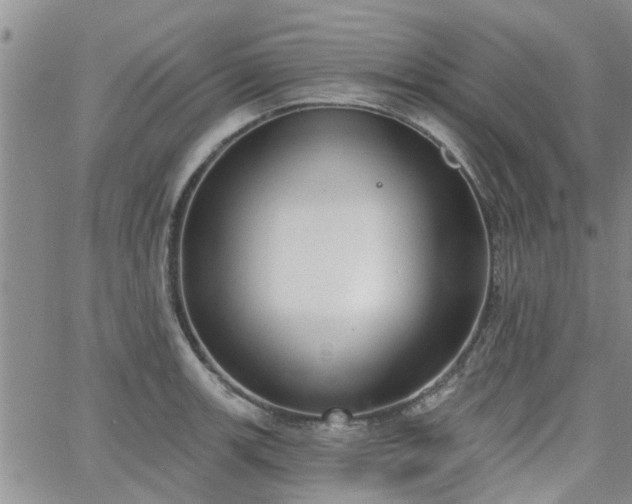 X0000063481139200601231340