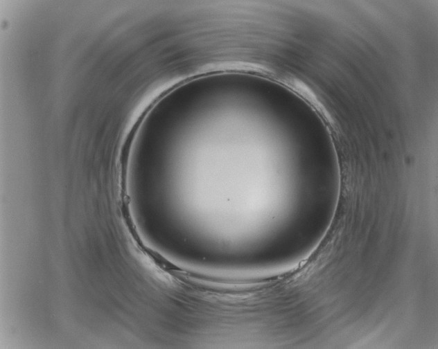 X0000063481140200601231340