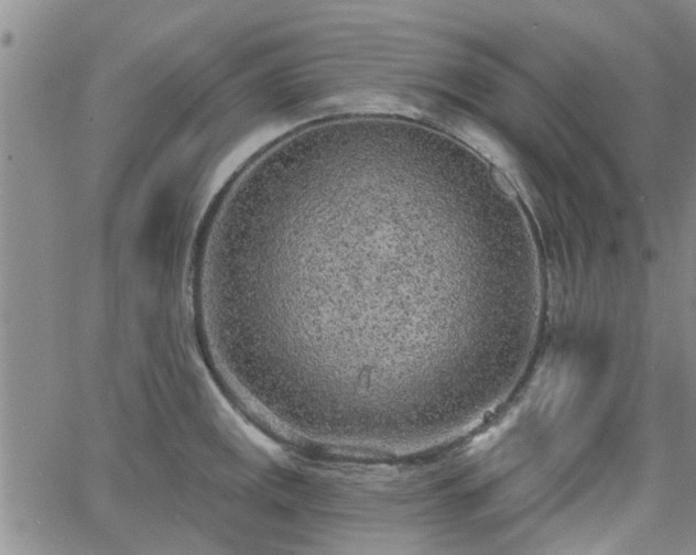 X0000063481141200601231340