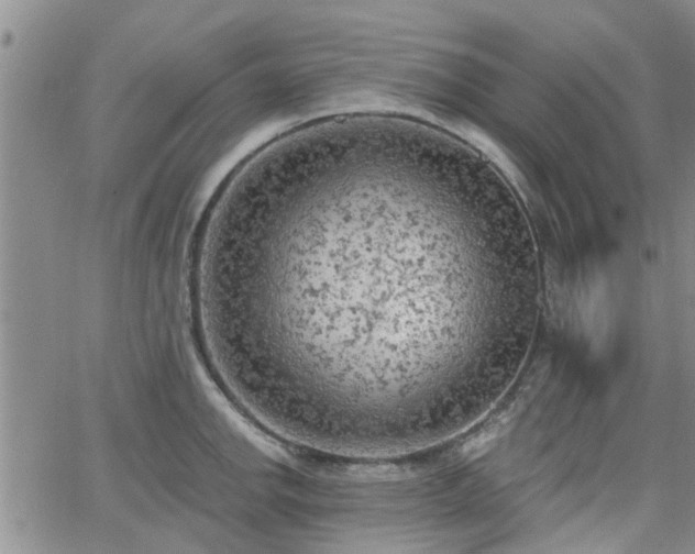 X0000063481142200601231340