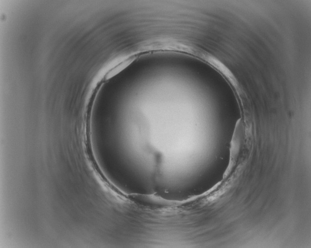 X0000063481144200601231340