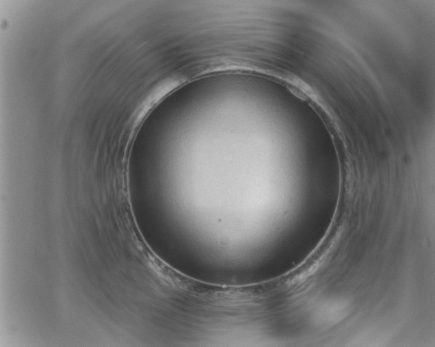 X0000063481145200601231340