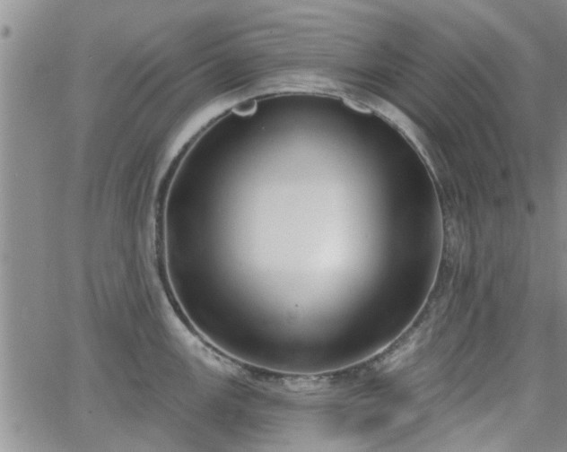 X0000063481147200601231340