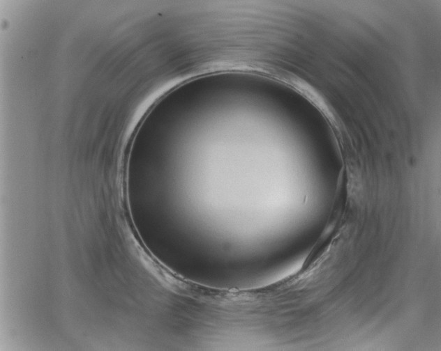 X0000063481148200601231340