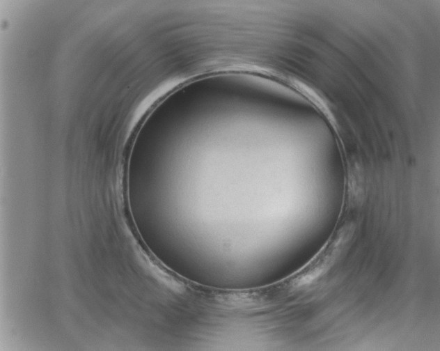 X0000063481149200601231340