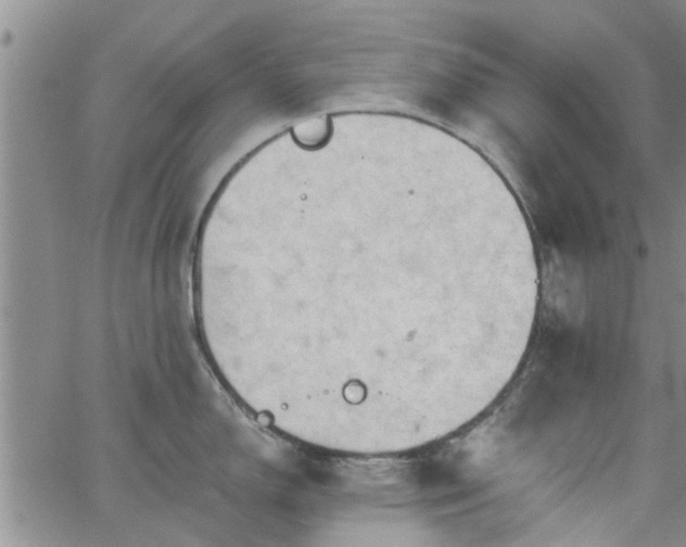 X0000063481150200601231340