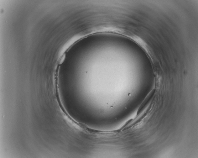 X0000063481151200601231340