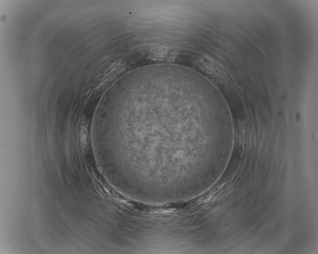 X0000063481154200601231340