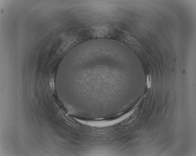 X0000063481155200601231340