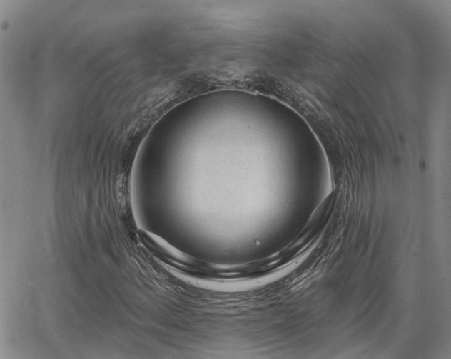 X0000063481156200601231340