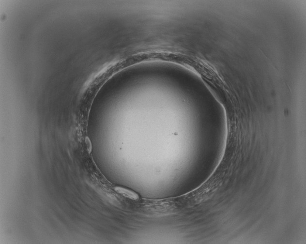 X0000063481159200601231339