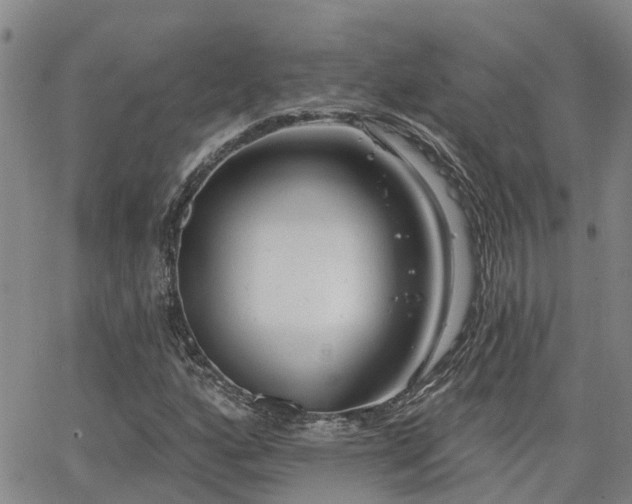 X0000063481160200601231339