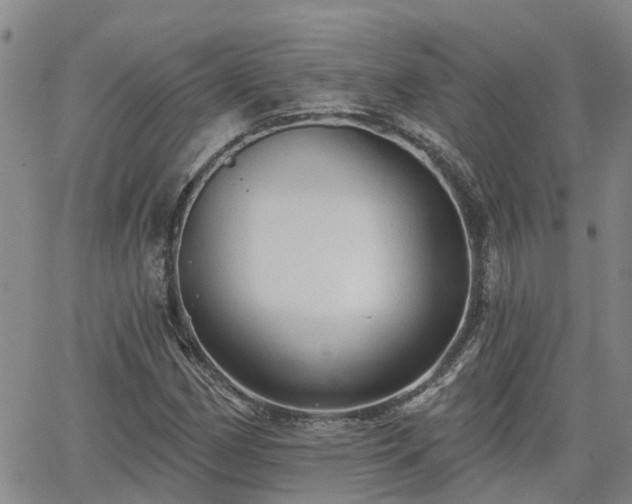 X0000063481162200601231339