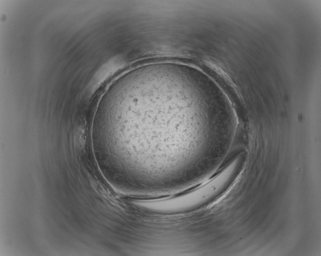 X0000063481163200601231339