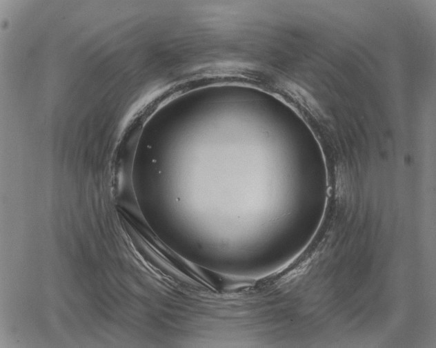 X0000063481164200601231339