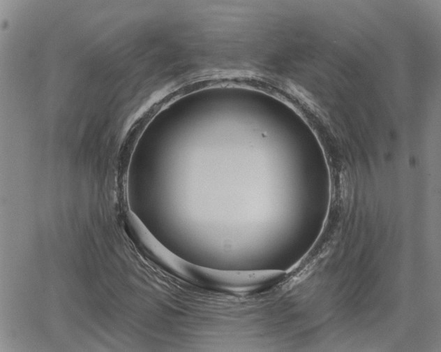 X0000063481165200601231339