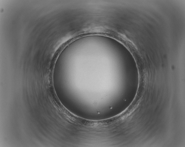 X0000063481166200601231339