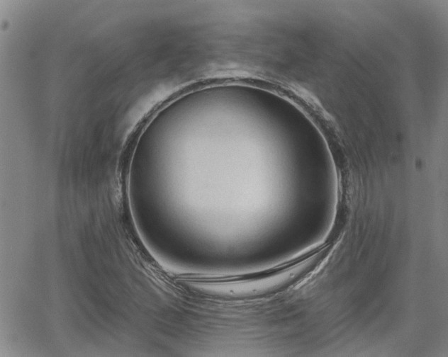 X0000063481167200601231339