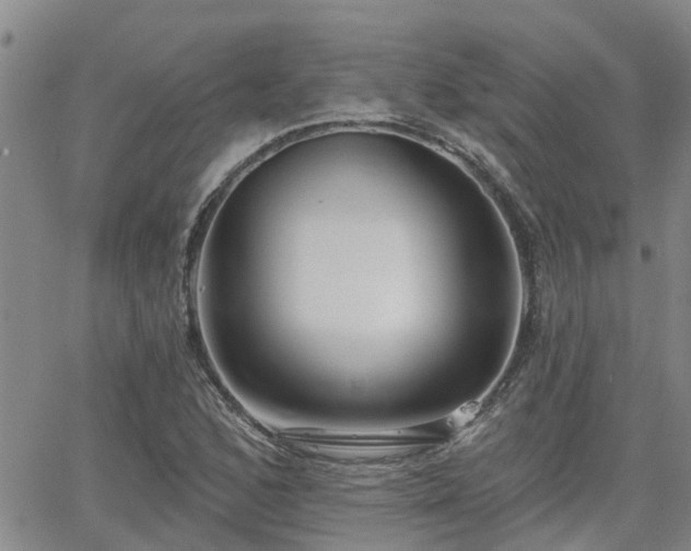 X0000063481168200601231339