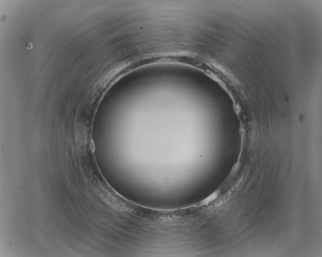 X0000063481169200601231339