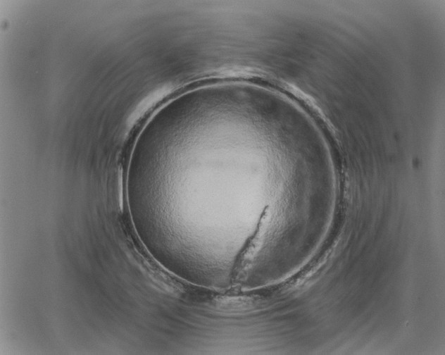 X0000063481171200601231339