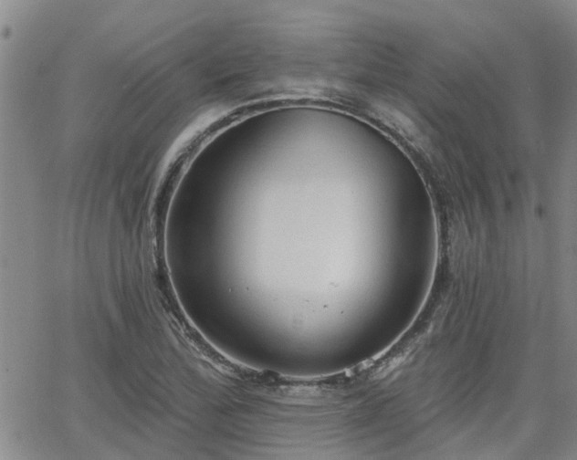 X0000063481172200601231339