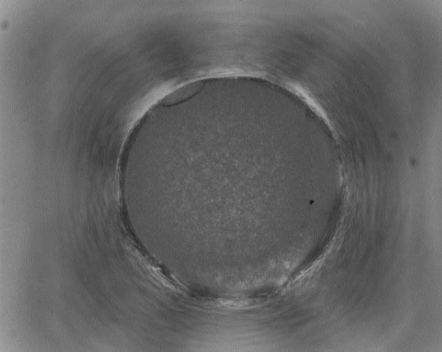 X0000063481173200601231339